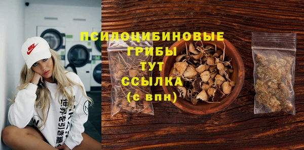 стафф Магас